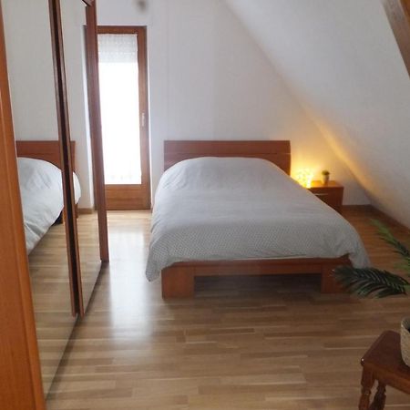 Superbe appartement climatisé en résidence Betschdorf Extérieur photo