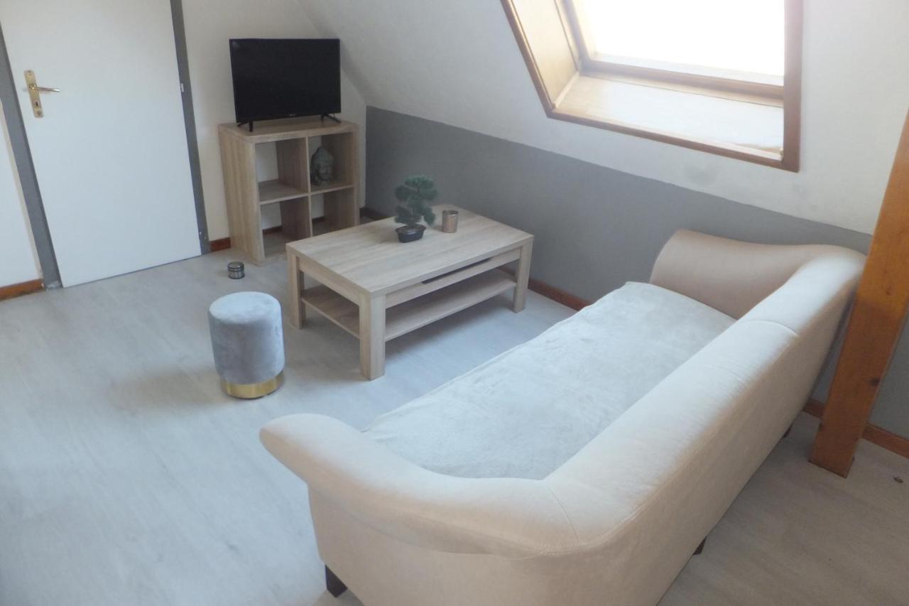 Superbe appartement climatisé en résidence Betschdorf Extérieur photo